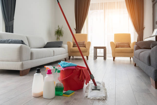 Various cleaning products at home. Various cleaning products at home.